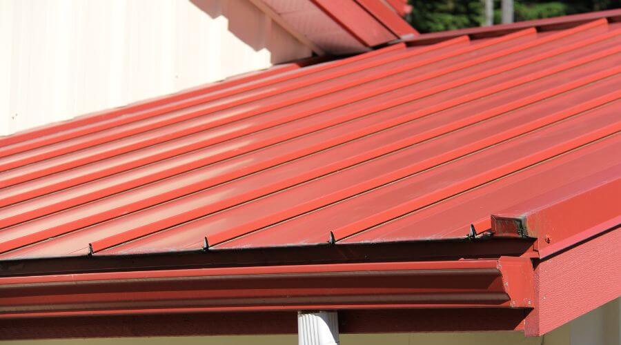 Roof Gutter Cleaning in Sallis, MS